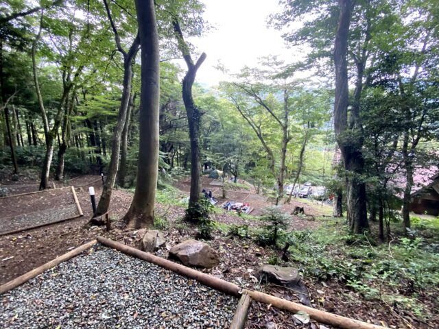 HAYATO箱根キャンプ場、おすすめサイト