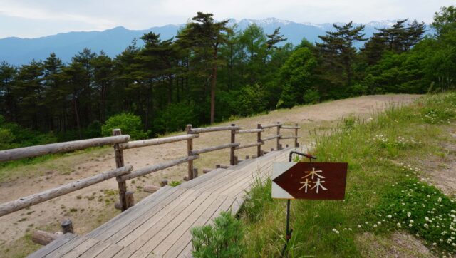 陣馬形山キャンプ場の森サイト