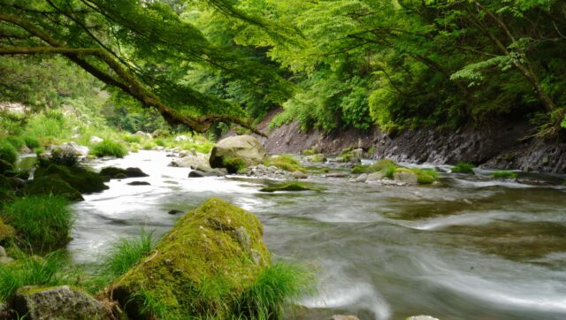 FUJIYAMA泉の森キャンピングフィールドの川