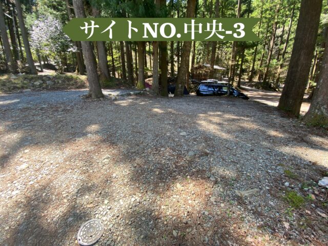 椿荘オートキャンプ場のおすすめサイト。中央の森