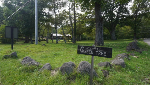 駒出池キャンプ場のグリーンツリーサイト