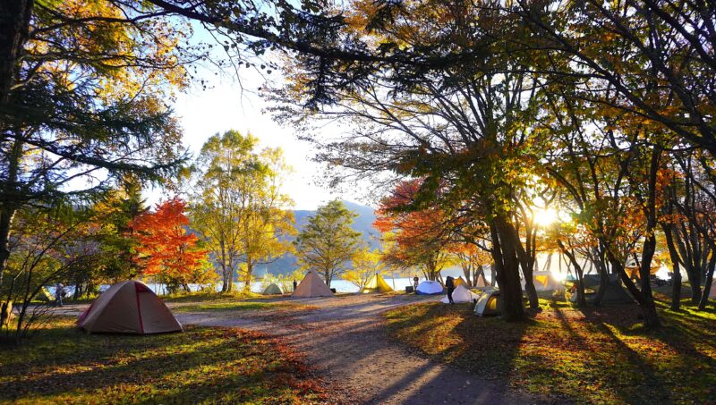 菖蒲ヶ浜キャンプ村のおすすめサイトと紅葉
